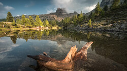 Fallen log in still alpine lake with forested mountains and rocky peaks reflected in water.