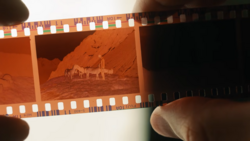 35mm film negative showing desert landscape with animals and structures under warm, reddish lighting.
