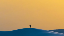 Silhouetted figure standing alone atop a curved sand dune against a golden sky.