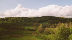 Rolling green valley with mixed deciduous and coniferous forest under dramatic cumulus clouds.