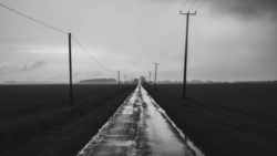 Wet rural road stretching toward distant horizon between dark fields under overcast sky.