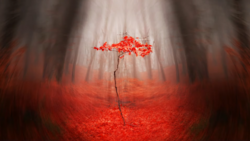 Solitary tree with bright red foliage stands in misty forest with red-tinted ground.