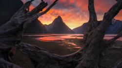 Dramatic sunset framed by gnarled driftwood logs, with a silhouetted mountain peak reflected in still water.