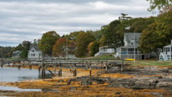 Waterfront New England homes with wooden pier and rocky coastline at low tide.