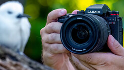 Photographer holding a Lumix camera body with lens toward a white bird perched on a log.