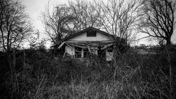 Abandoned house surrounded by overgrown vegetation and bare trees in black and white.