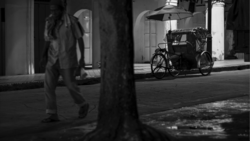 Person walking past a parked tricycle on a wet urban street at night, captured through tree branches in foreground.