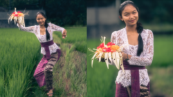 Woman in lace cardigan and burgundy skirt holding glowing red flower arrangement in rice field.