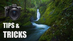 Sony Alpha mirrorless camera positioned above a forest stream flowing through a moss-covered canyon.