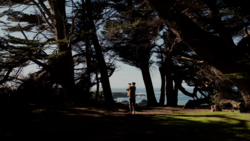 Couple standing beneath windswept trees overlooking a coastal landscape.
