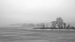 Bare trees on a misty frozen lake shore with forested hills receding into fog