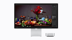 Screenshot of color-grading software displaying a vibrant still life of flowers, produce, and glassware on a dark surface.