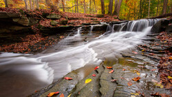 Flowing creek with cascading water and autumn leaves on surrounding rocks and forest floor.