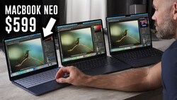 Three MacBook laptops displaying photo editing software with a bird image open on each screen.