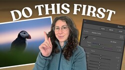 Woman pointing at puffin photo while demonstrating Adobe Lightroom editing panel on computer screen.
