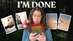 Woman holding smartphone with frustrated expression, surrounded by torn bird photographs with hearts and text overlay reading "I'M DONE.".