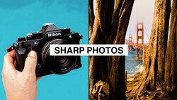 Nikon Z1 camera held in hand against blue background, with Golden Gate Bridge framed through tree trunks in separate shot.