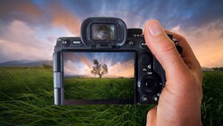 Photographer's hands holding mirrorless camera displaying landscape scene with solitary tree in green field on LCD screen.