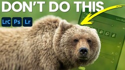 Close-up of a brown bear's face against a green background with photography software interface visible.