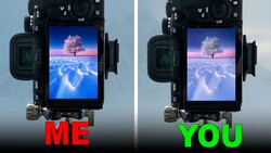 Side-by-side comparison of camera monitor displays showing the same snowy landscape with a pink-blossomed tree, labeled ME and YOU.