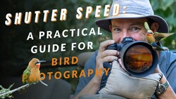 Photographer holding telephoto lens aimed at small yellow bird perched on branch.