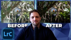 Screenshot showing before and after Lightroom color grading comparison of outdoor nature footage with a person in foreground.