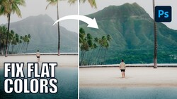 Before and after comparison showing color correction applied to a beach scene with mountains and palm trees.