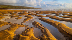 Tidal flats with golden-brown seaweed patterns and reflecting water channels under partly cloudy sky