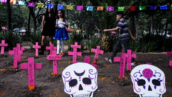 Day of the Dead memorial installation with pink crosses and decorated skull cutouts in park setting