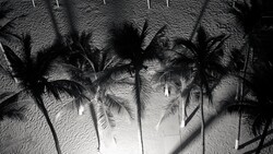 The Problem With Paradise
