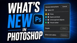 Screenshot of Photoshop's generalized distraction removal dialog with checkboxes for Poles, Spots and dust, Unrecognized objects, and Visual clutter.
