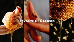 Graphic showcasing three macro photography examples with warm lighting and shallow depth of field