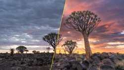 Side-by-side comparison of quiver tree landscape at sunset with different exposure and color treatments