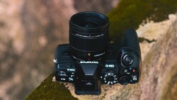 Compact mirrorless camera with attached prime lens mounted on moss-covered stone surface