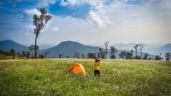 Hiker in yellow jacket beside orange tent in expansive green field with mountains and palm trees