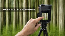 Hand holding film camera with multiple exposure capability aimed at forest backdrop
