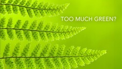 Graphic illustration of bright green fern fronds against a vibrant lime background with text reading 'TOO MUCH GREEN?'