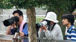 Four photographers with DSLR cameras and telephoto lenses positioned along a railing beneath tree cover