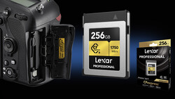 From XQD to CFexpress: Futureproofing Your Nikon DSLR for the Mirrorless Upgrade Ahead