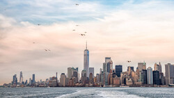 Manhattan skyline at golden hour with birds flying overhead and Hudson River in foreground