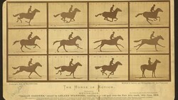 Illustration of horse and rider in motion across 12 sequential frames showing galloping progression