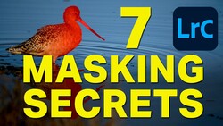 Graphic with red bird and yellow text reading '7 Masking Secrets' with LrC logo