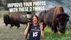 Photographer holding telephoto lens standing between two bison in grassland setting
