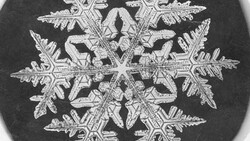 How the First Photograph of a Snowflake Took a Vermont Farmer 46 Years