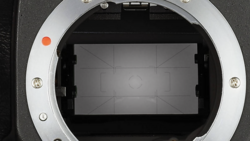 Camera mirror and focusing screen viewed from the mirror box during sensor inspection