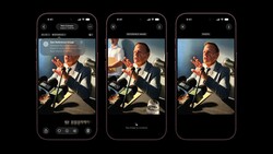 Screenshot showing mobile interface for reference image and photo comparison during editing