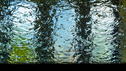 Underwater view through glass showing rippling water surface with light reflections and vegetation