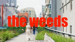 People walking on an elevated urban green space with wildflowers and modern buildings in background
