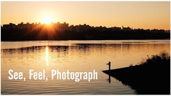 Silhouetted goose on water at sunrise with city skyline and golden light reflecting across the bay