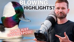 Wildlife photographer holding telephoto lens next to colorful duck with text about exposure and highlights